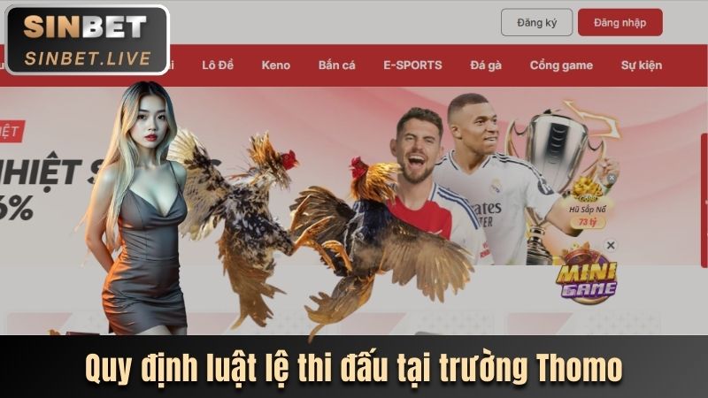 nam bat ve luat le thi dau da ga thomo danh cho nguoi tham gia